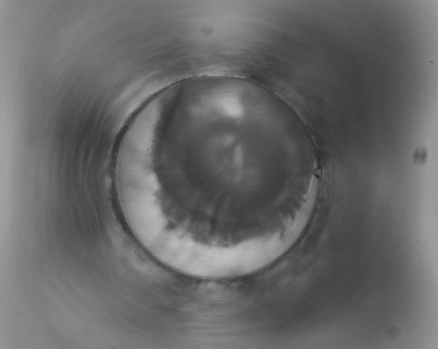 X0000113060290200909182007