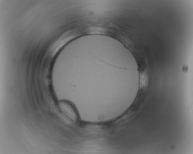 X0000113060291200909182007