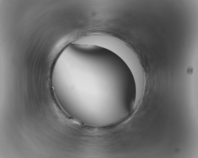 X0000113060293200909182007