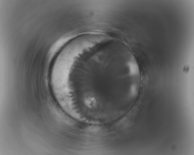 X0000113060294200909182007