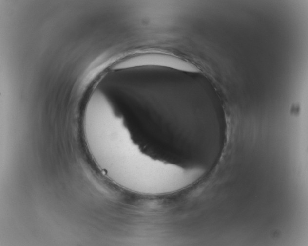 X0000113060295200909182007