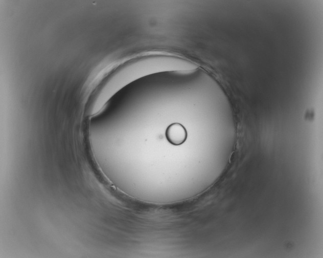 X0000113060296200909182007