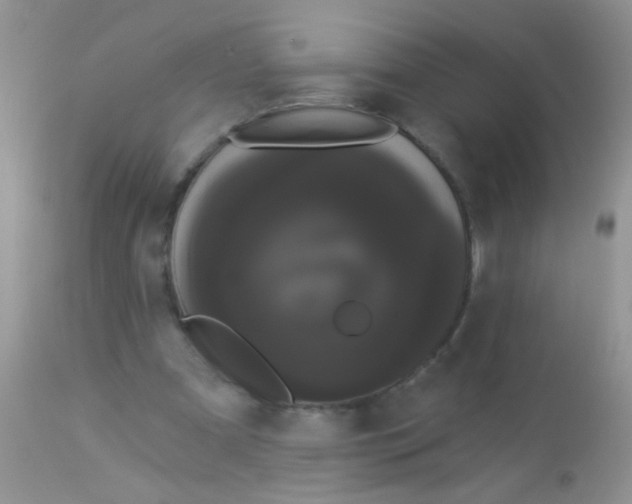 X0000113060297200909182007