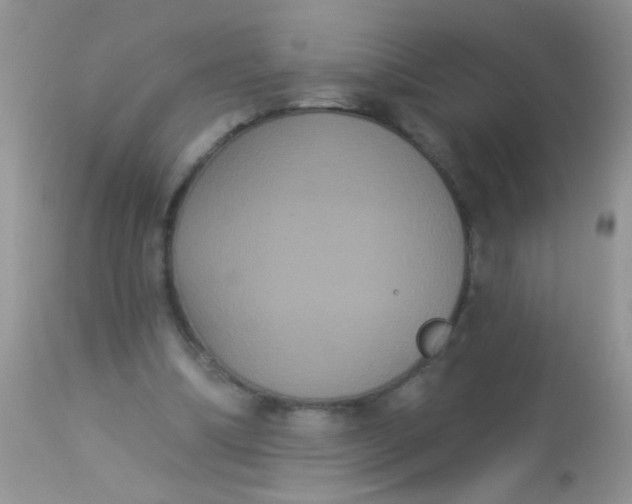 X0000113060298200909182007