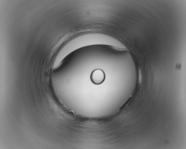 X0000113060300200909182007