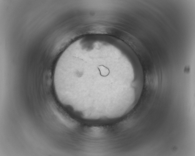 X0000113060302200909182007