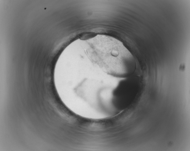 X0000113060303200909182007