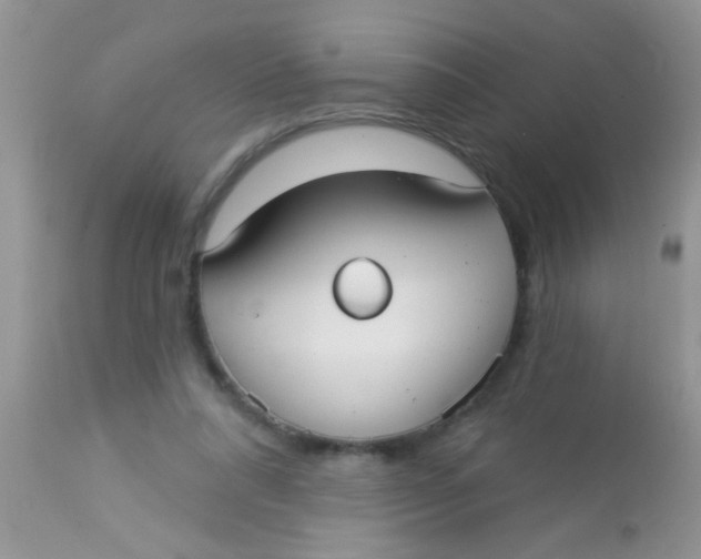 X0000113060304200909182007