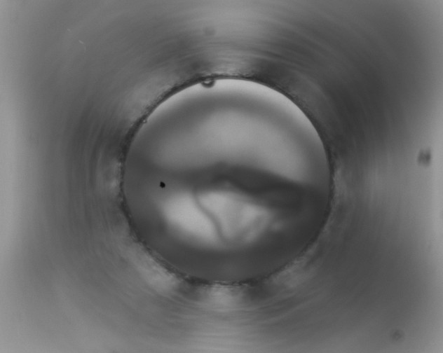 X0000113060305200909182007