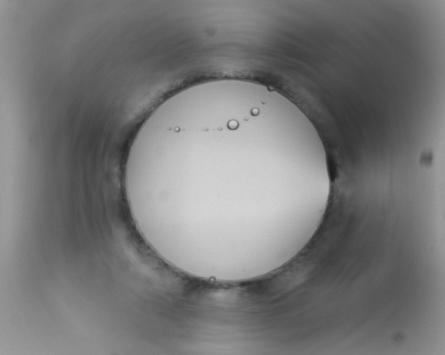 X0000113060306200909182007