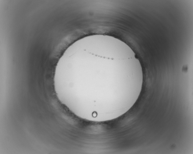 X0000113060307200909182007