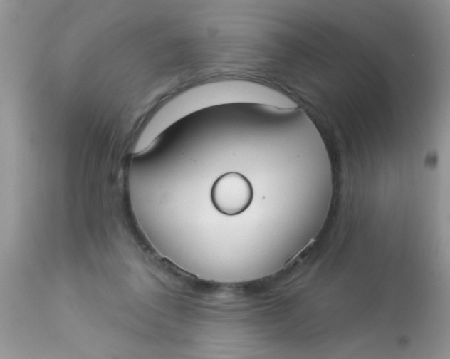 X0000113060308200909182007