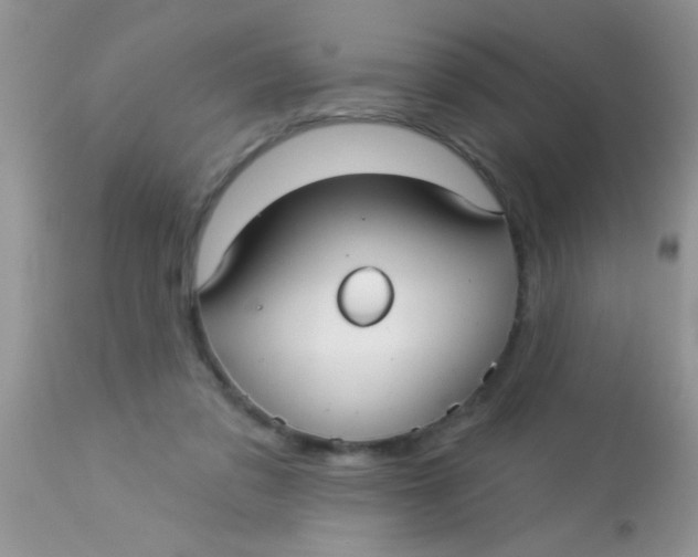 X0000113060309200909182007