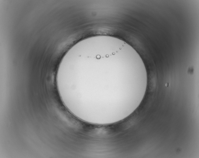 X0000113060310200909182007