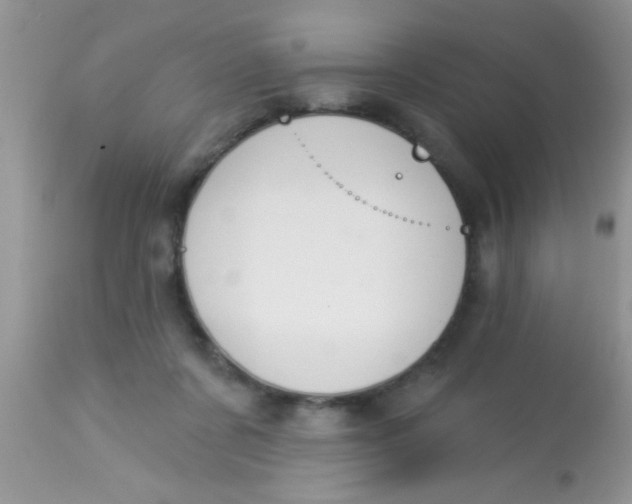 X0000113060311200909182007