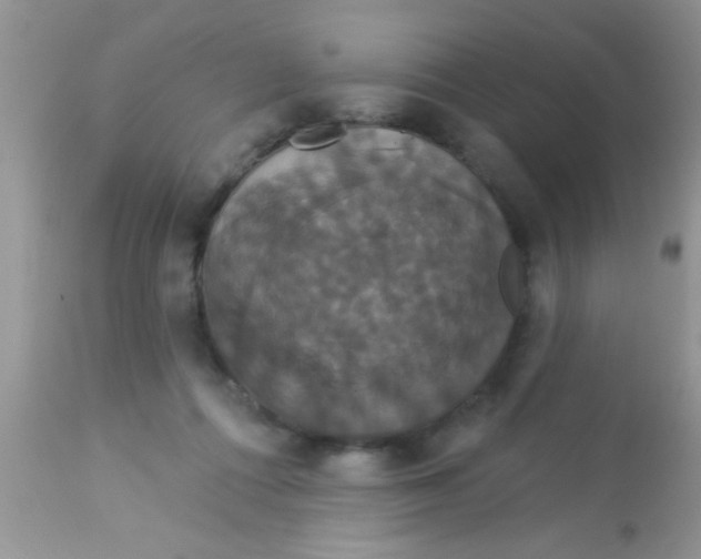 X0000113060312200909182007