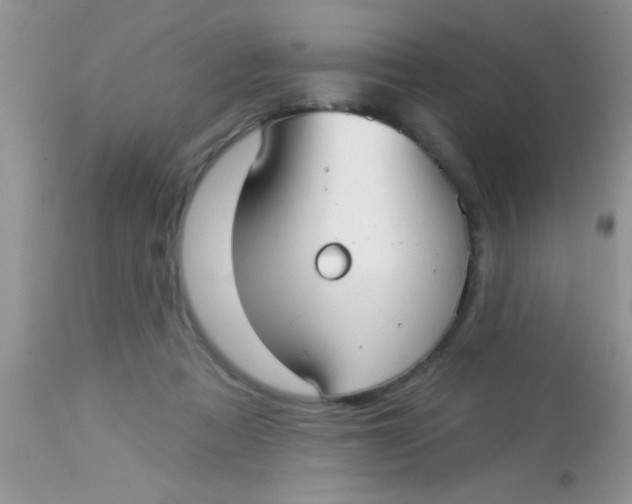 X0000113060313200909182007