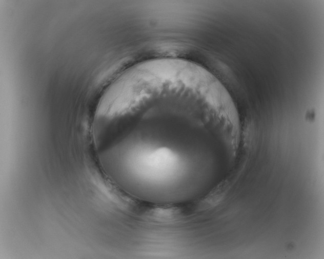 X0000113060314200909182007