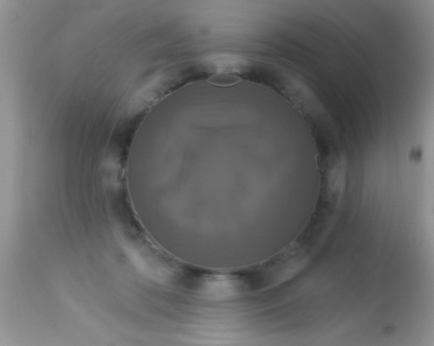 X0000113060316200909182007