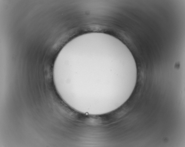 X0000113060317200909182007