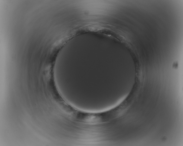 X0000113060319200909182007