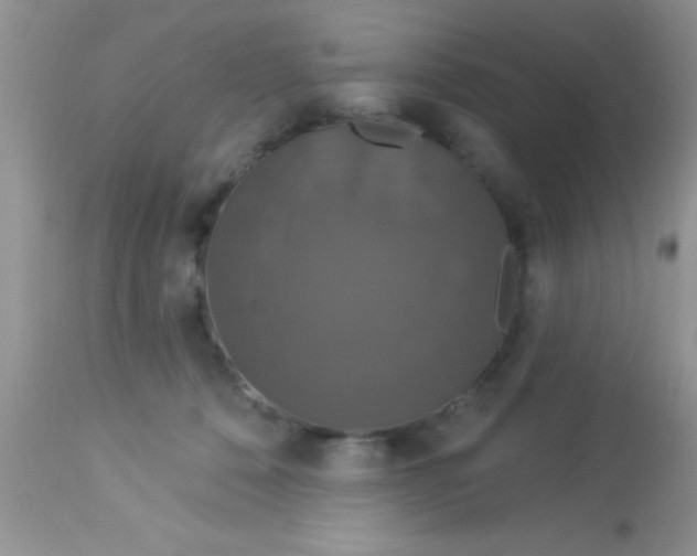 X0000113060320200909182007