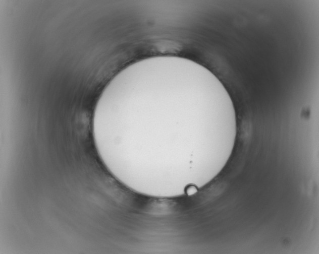 X0000113060321200909182007