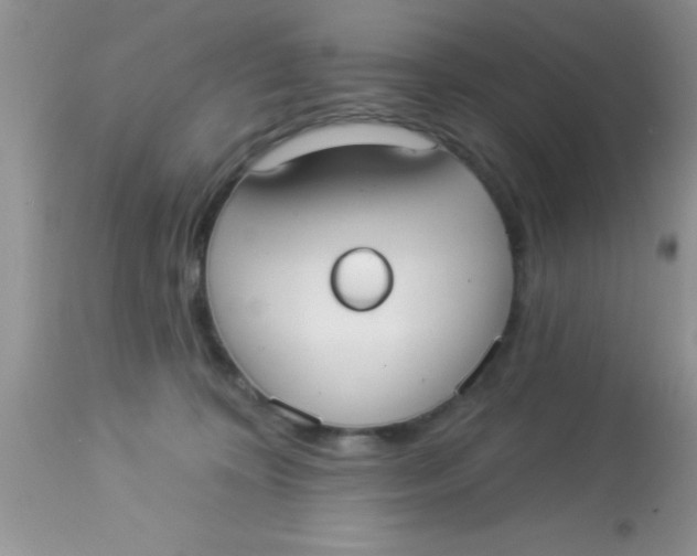 X0000113060324200909182007