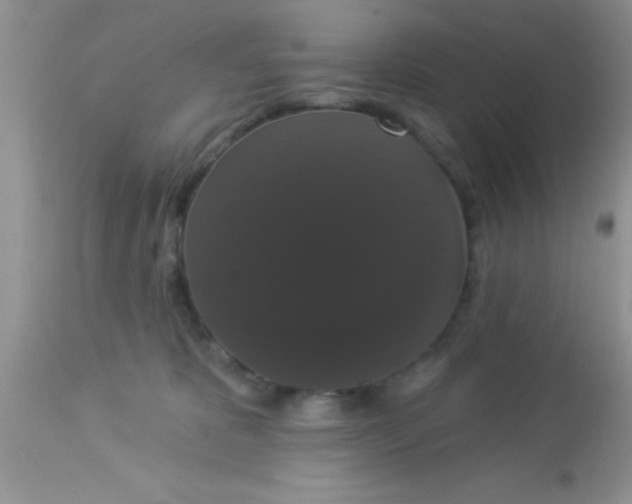 X0000113060325200909182007