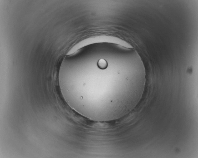 X0000113060328200909182007