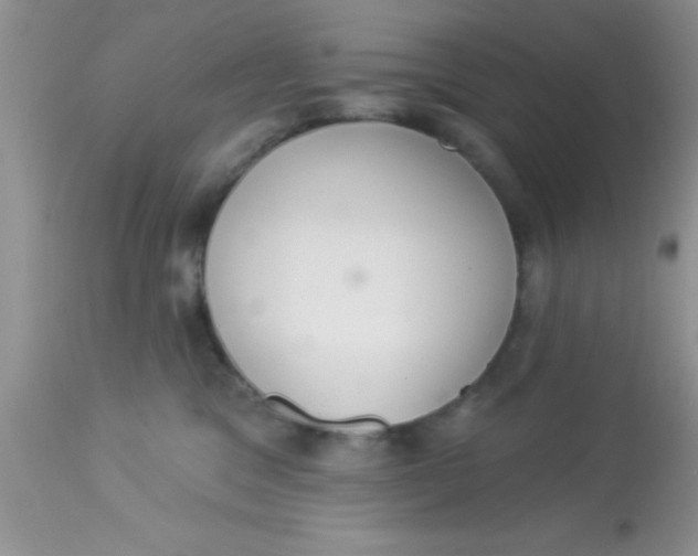 X0000113060329200909182007