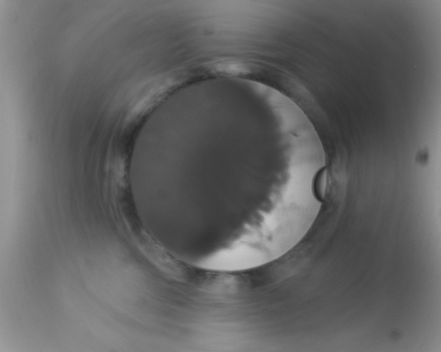 X0000113060330200909182007