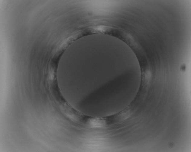 X0000113060331200909182007