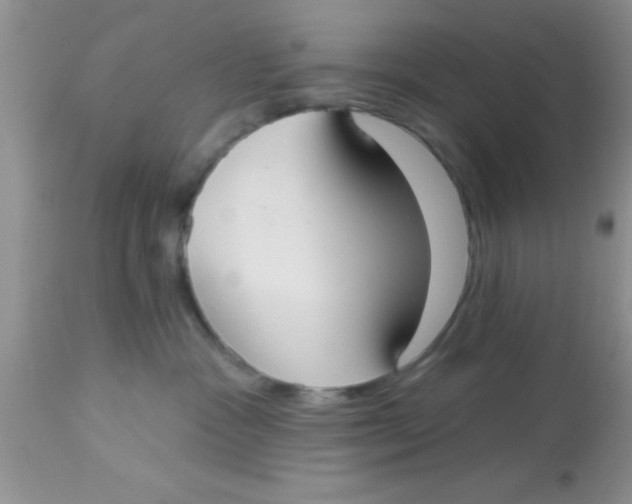 X0000113060333200909182007