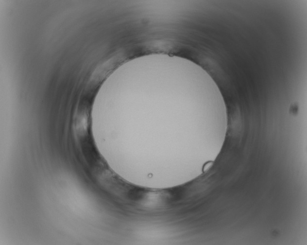 X0000113060334200909182007