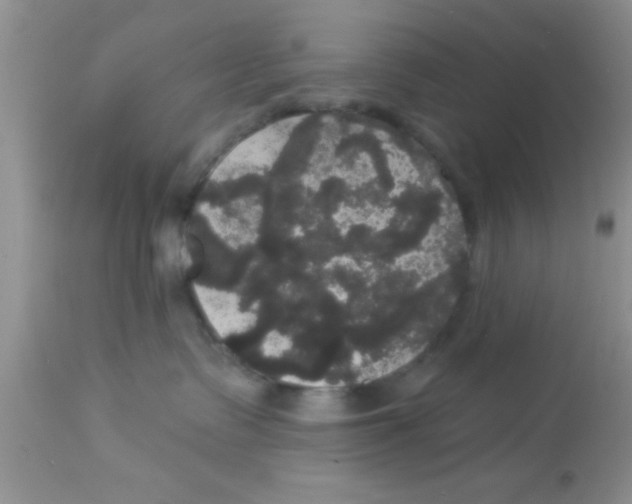 X0000113060335200909182007