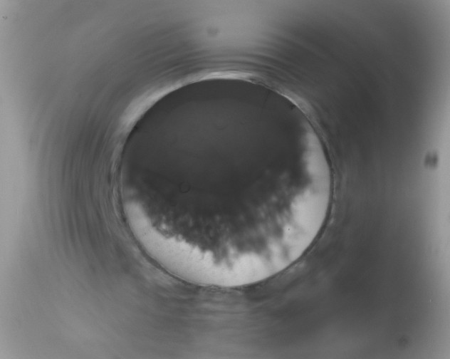 X0000113060337200909182006