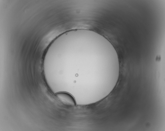 X0000113060338200909182006