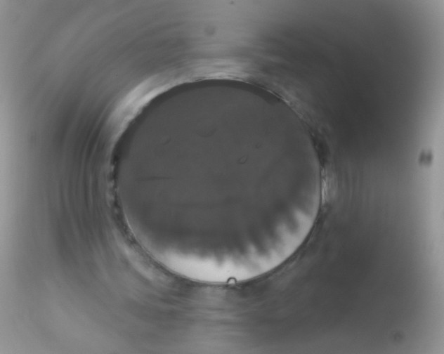 X0000113060339200909182006