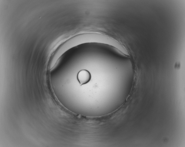 X0000113060340200909182006