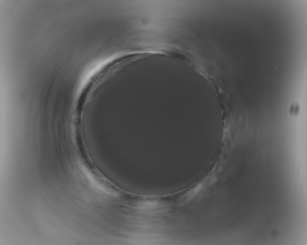 X0000113060342200909182006