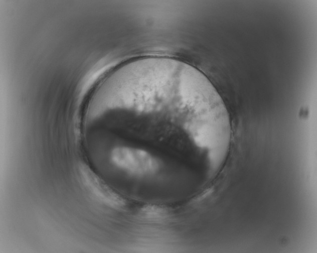 X0000113060343200909182006