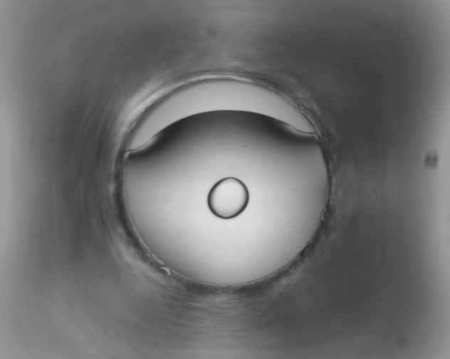 X0000113060344200909182006