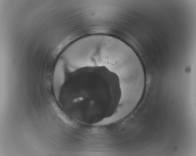 X0000113060345200909182006