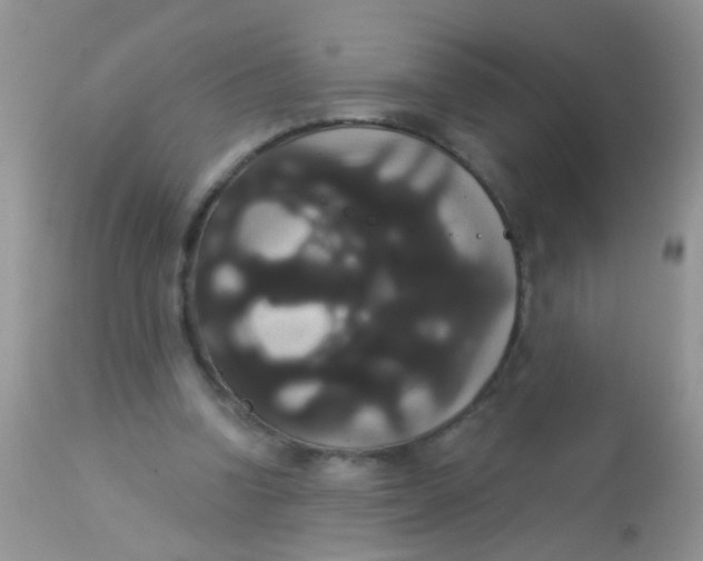 X0000113060346200909182006