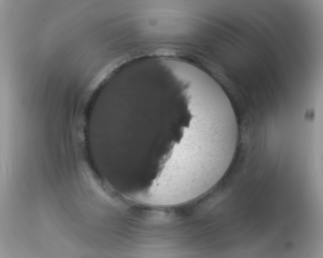 X0000113060347200909182006