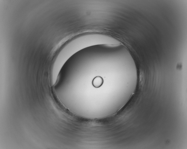 X0000113060348200909182006