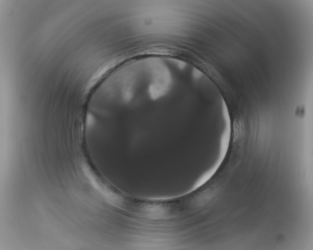 X0000113060349200909182006