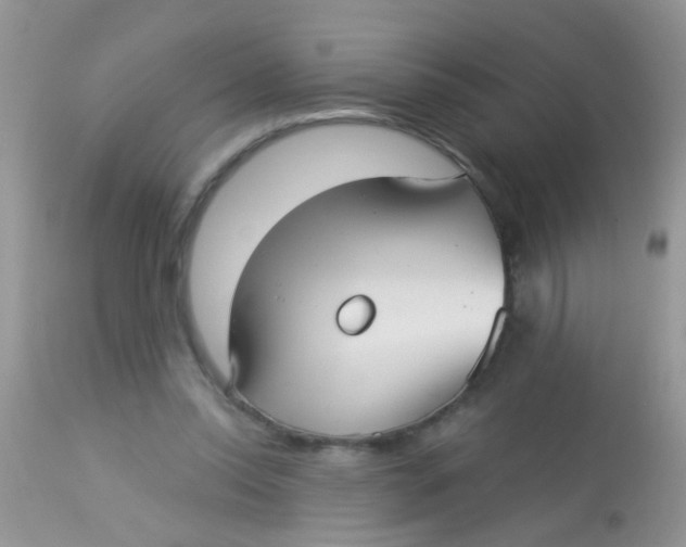 X0000113060350200909182006