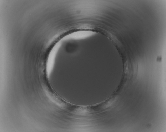 X0000113060351200909182006